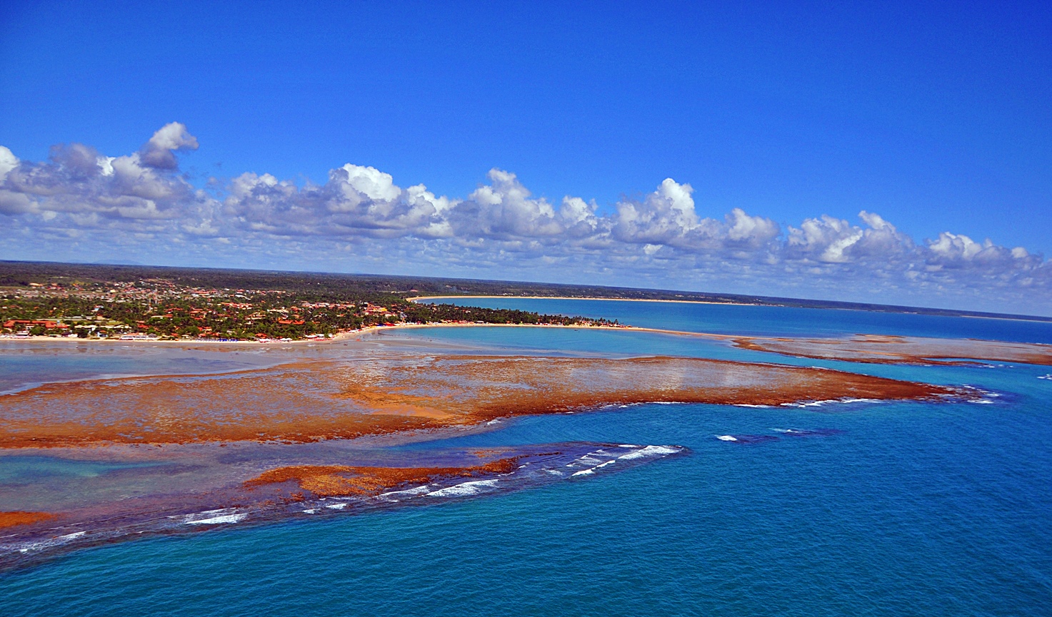 Floresta Amazônica brasileira ao pôr do sol